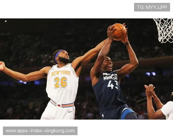 森林狼对尼克斯比赛主教练战术布局分析与策略对决解析